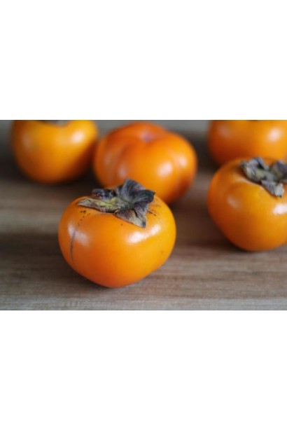 хурма японська